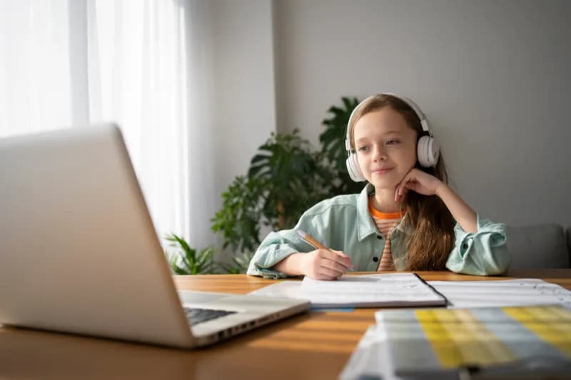 sectionschoolAttendanceOptions.online